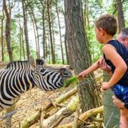 Luxe Groot Voor 6 Personen Op De Veluwe!