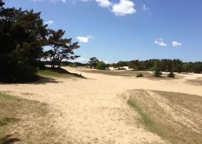 Chalet Luxe Groot Voor 6 Personen Op De Veluwe!