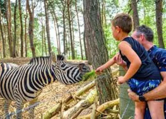 Luxe Groot Voor 6 Personen Op De Veluwe!